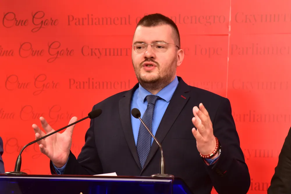 Momo Koprivica