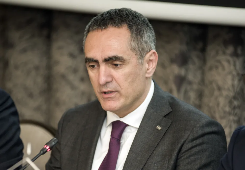 savjet stranih invesdticija, predstavljanje bijele knjige
