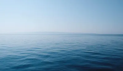 Unsplash ilustracija