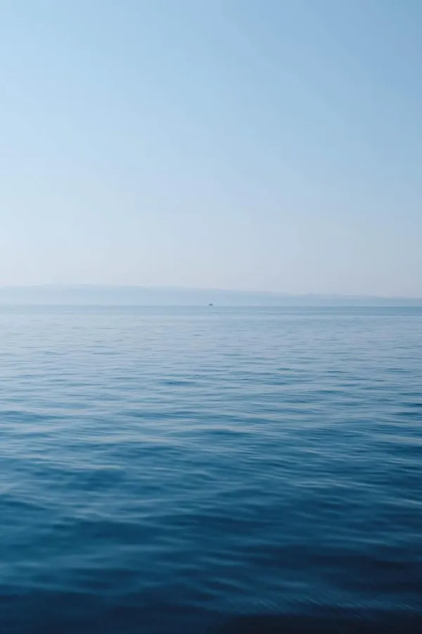 Unsplash ilustracija