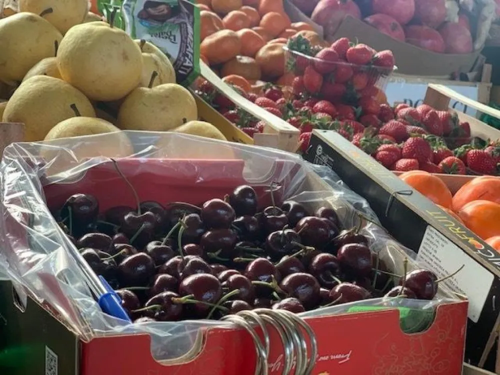 Kilogram tre&scaron;anja 30 eura