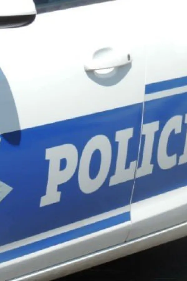 Полиција, полиција