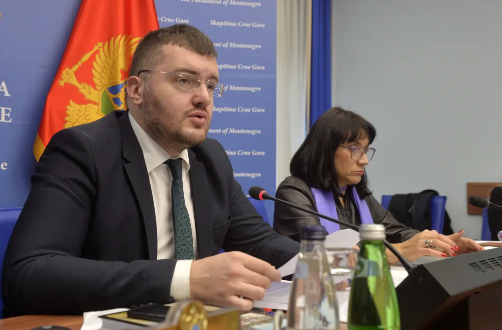 Odbor za politicki sistem, sjednica odbora za politicki sistem, Momo Koprivica