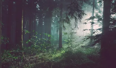 Foto:<br>Unsplash- ilustracija<br>Sebastian Unrau
