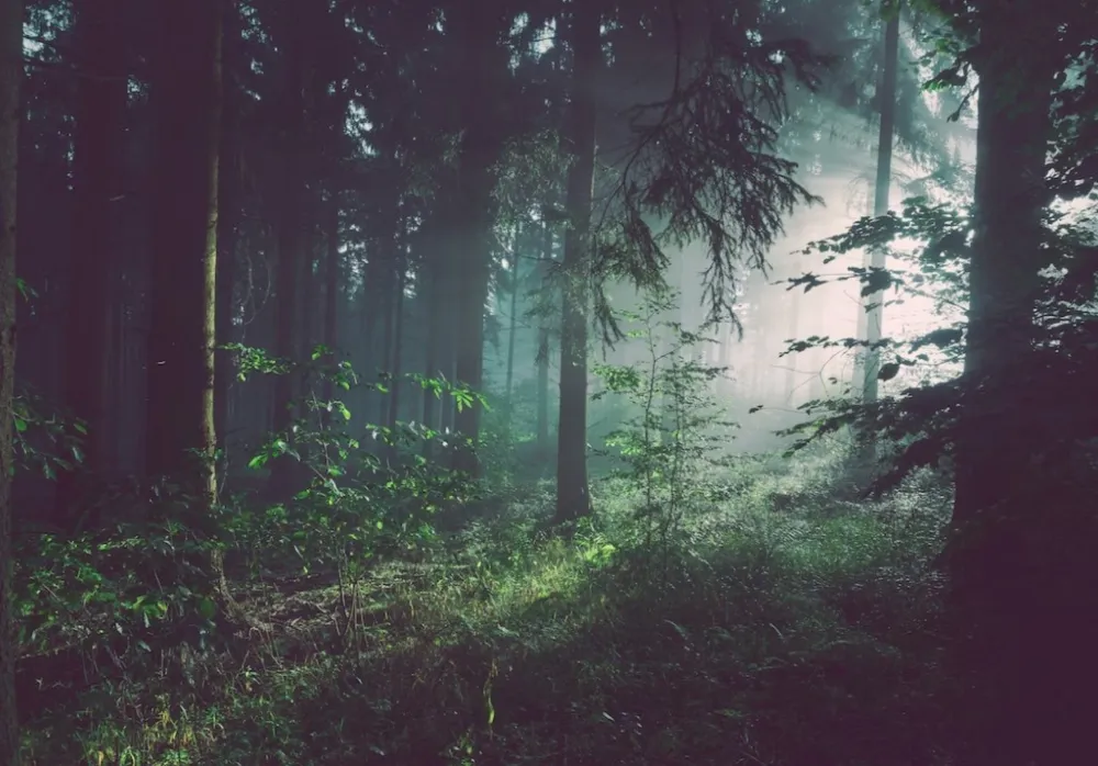 Foto:<br>Unsplash- ilustracija<br>Sebastian Unrau