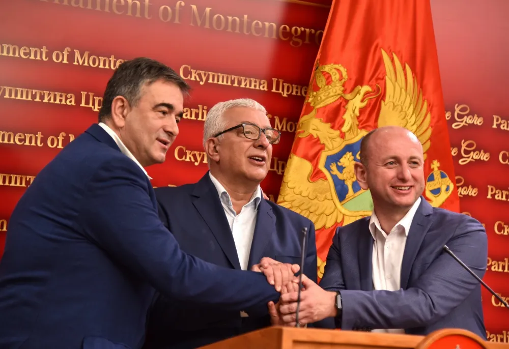 Demokratski front