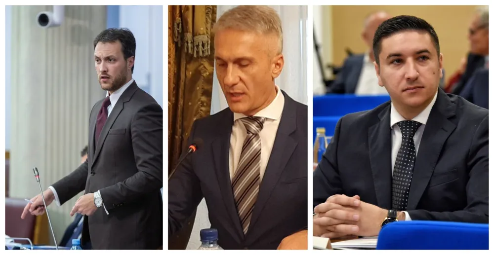 Foto kolaž DAN