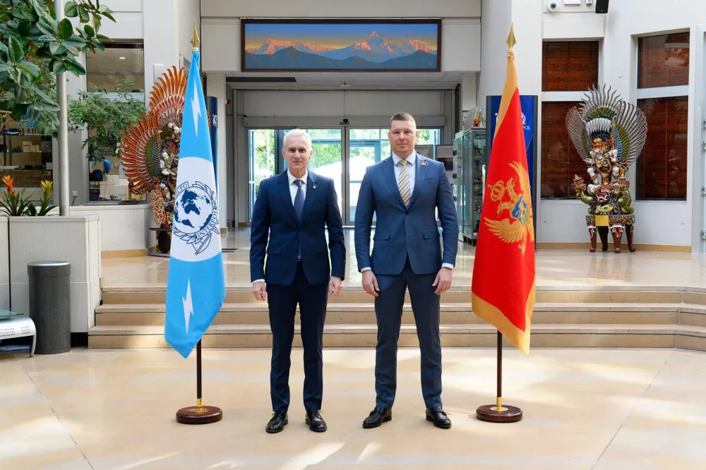 Adžić i Terzić
