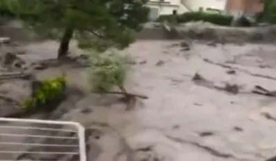 foto: Tviter, skrin&scaron;ot