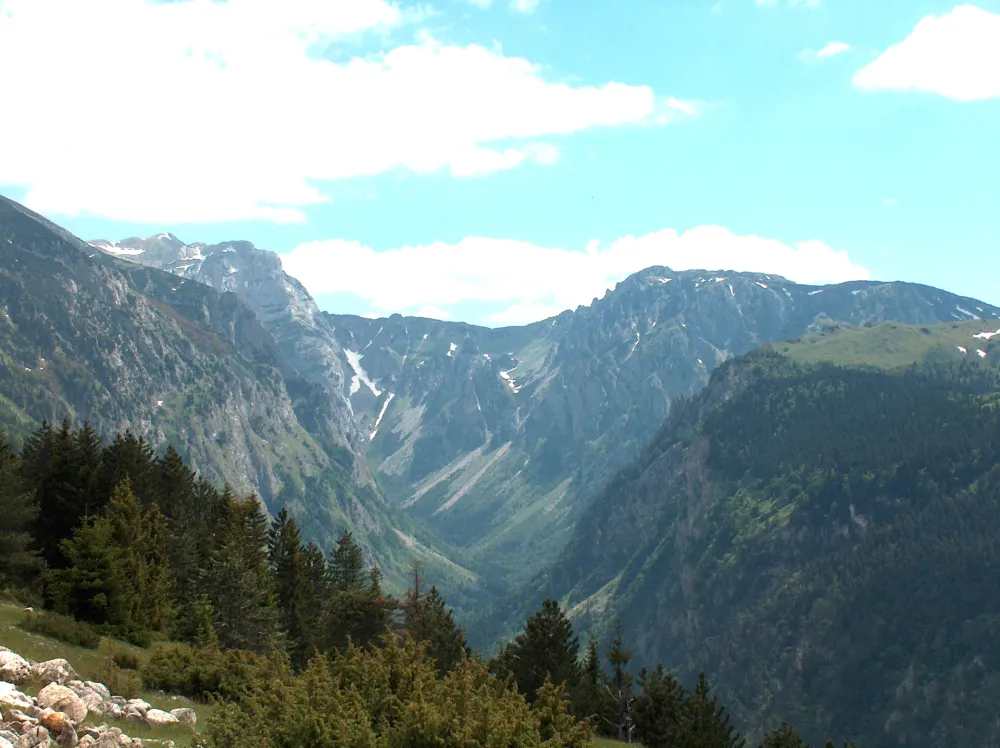 zabljak 
