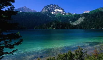 за хајдуковића