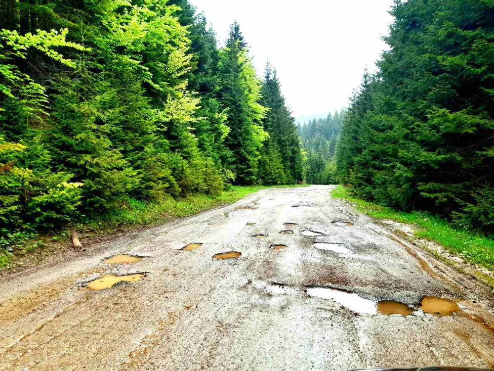 Пут Бољанићи-Метаљка