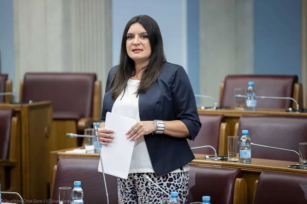 Paunović: Punim gasom protiv kriminala i korupcije