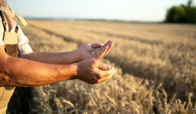Фото. Архива