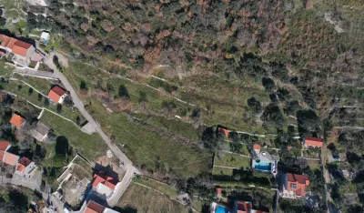 Buljarice iz vazduha