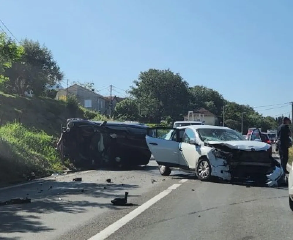 Udes u Radanovićima