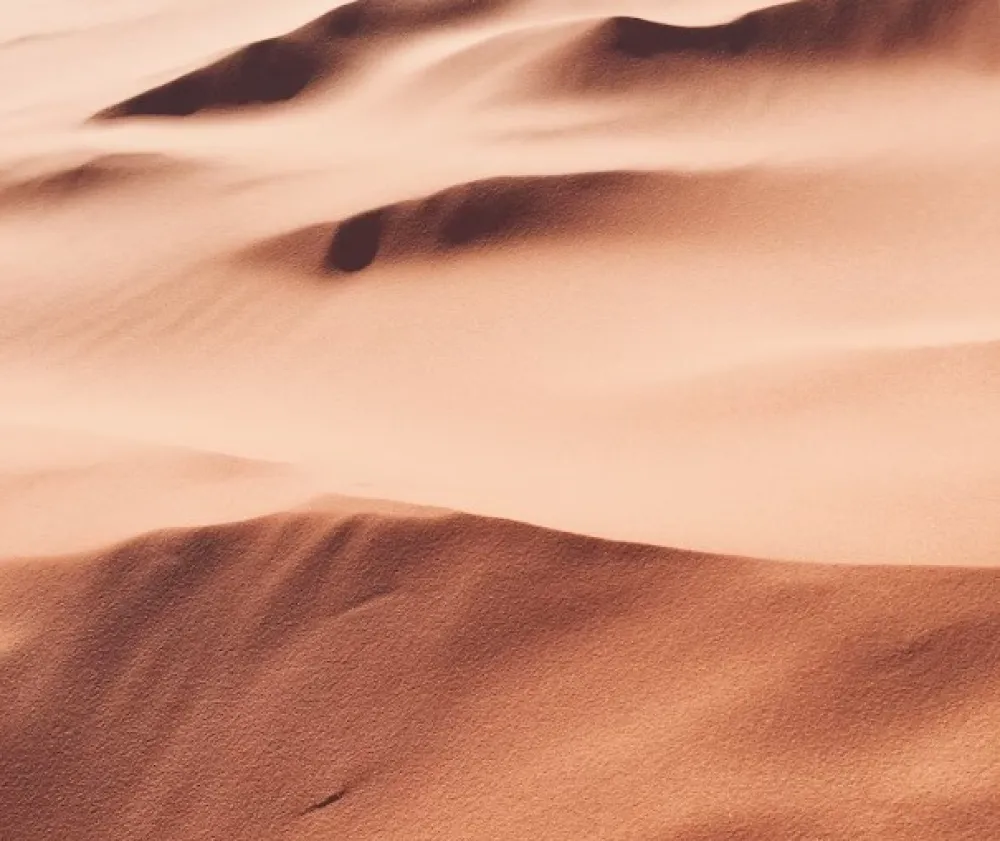 Unsplash: Heather Shevlin<br>ilustracija, pustinja