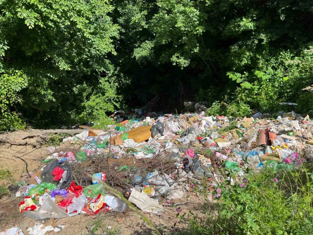 Дивља депонија у близини Васових вода