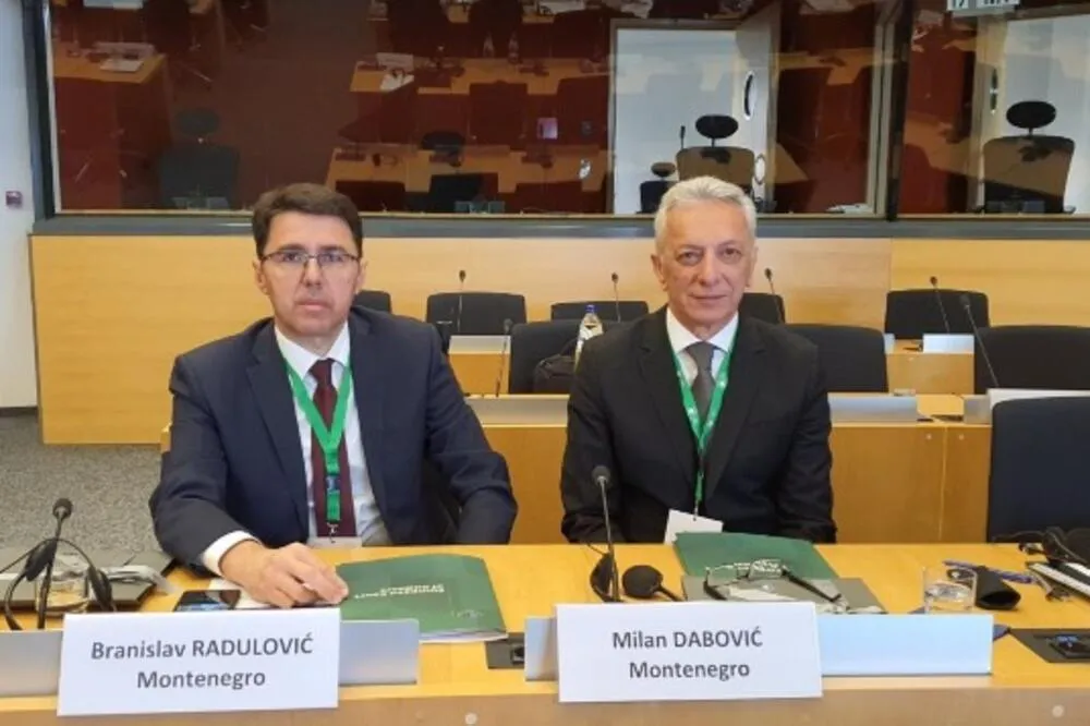 Branislav Radulović&nbsp;i&nbsp;Milan Dabović