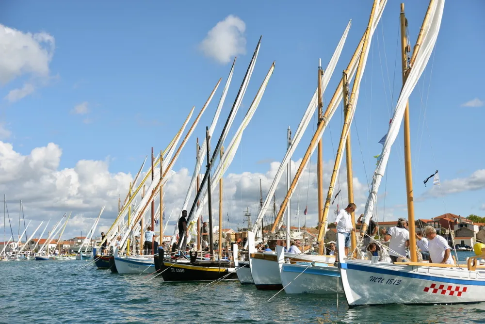 regata lu&scaron;tica