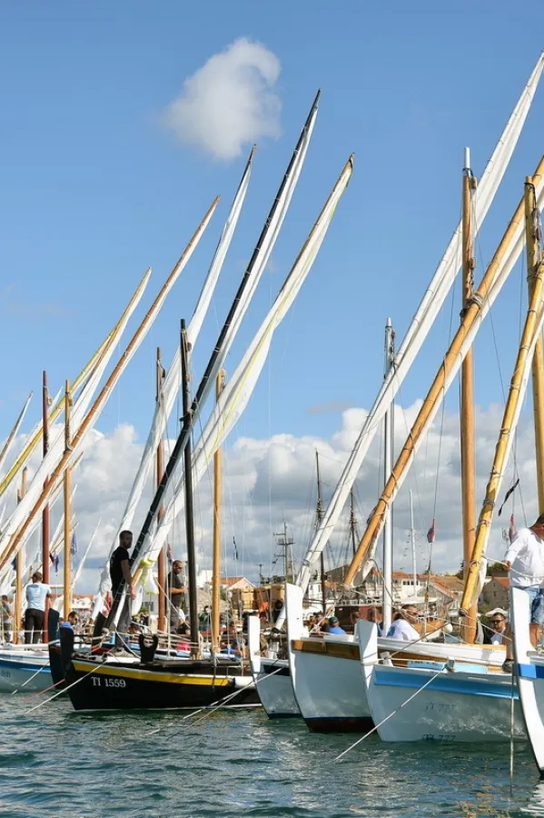 regata lu&scaron;tica