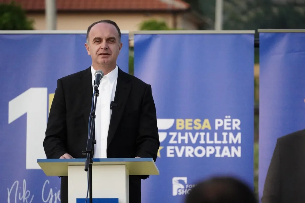 Nik Đeljo&scaron;aj