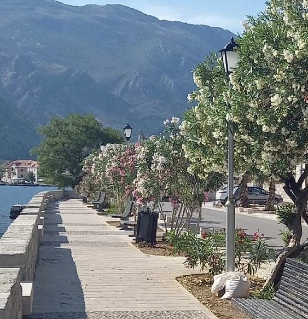 Рива на Прчању; нова јавна расвјета