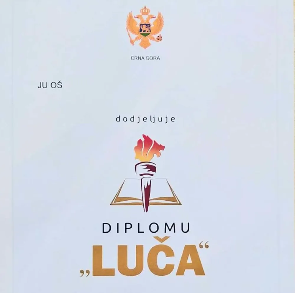 диплома Луча
