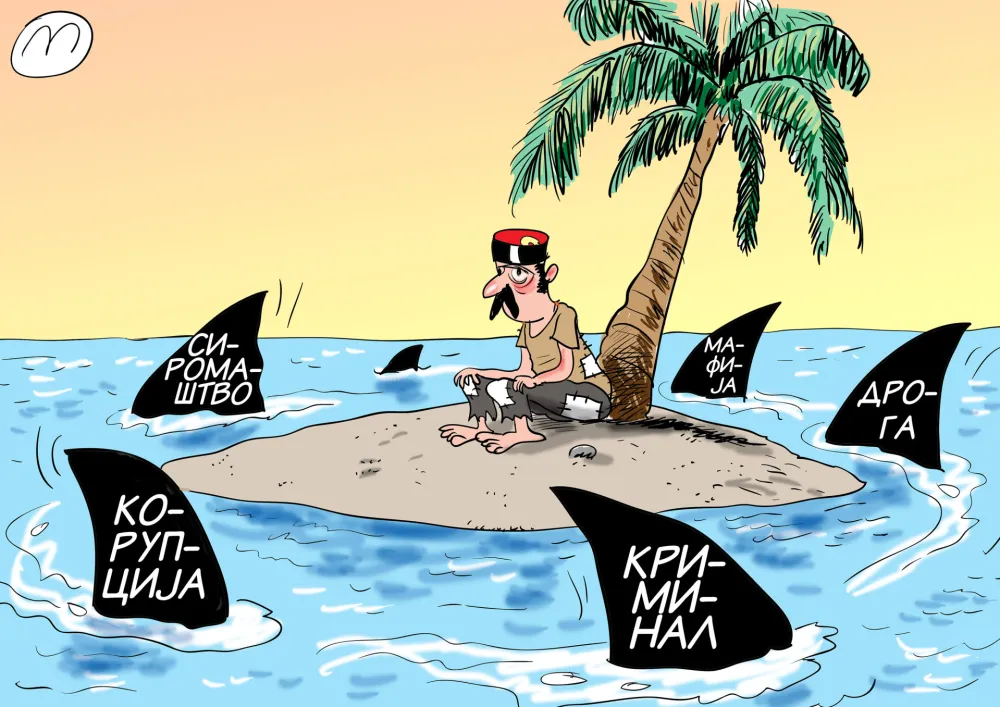 Карикатура: Мирко Зулић