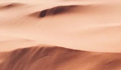 Unsplash: Heather Shevlin<br>ilustracija, pustinja