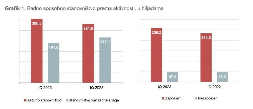 Anketa o radnoj snazi - MONSTAT