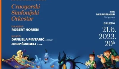 Koncert, Dizni