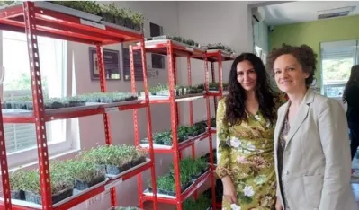 Vag u Nik&scaron;iću