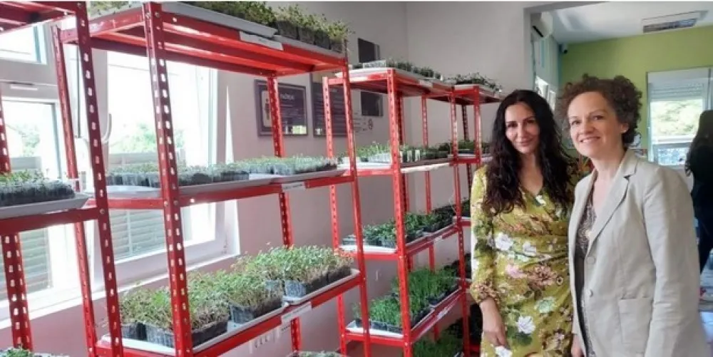 Vag u Nik&scaron;iću