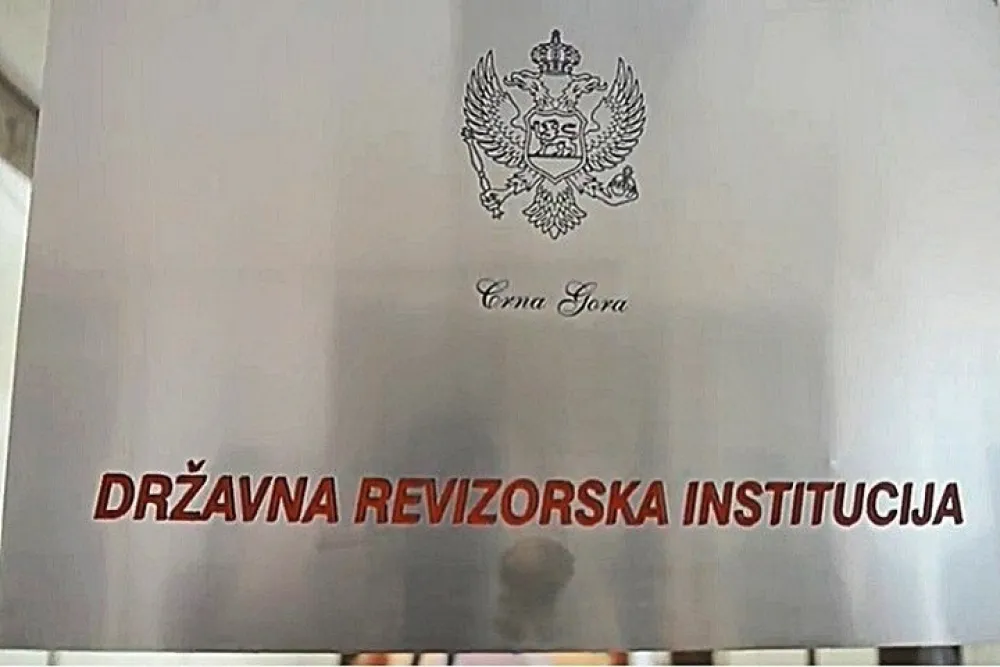 Државна ревизорска институција
