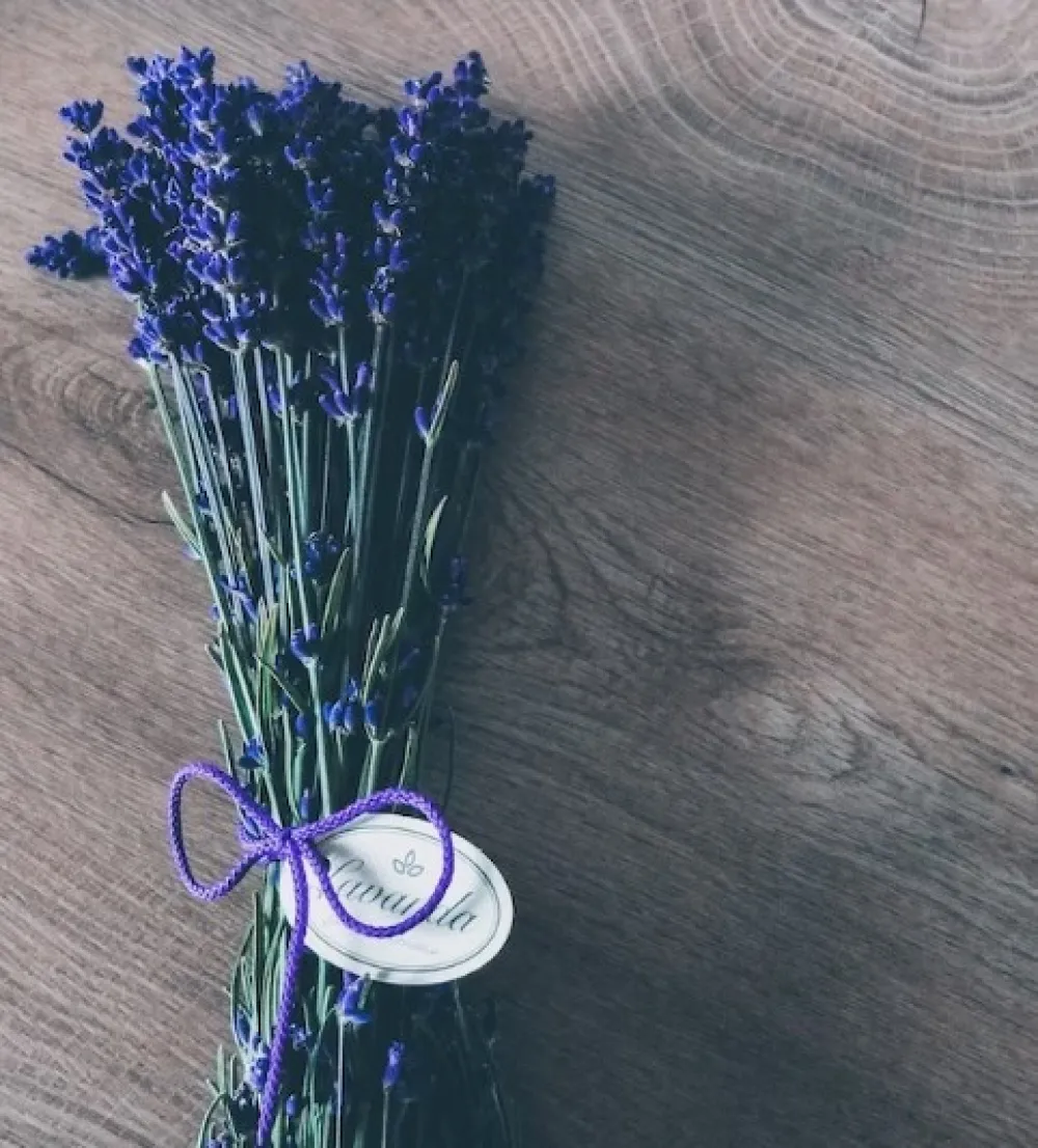 Ove dvije biljke mogu vas spasiti ujeda komaraca