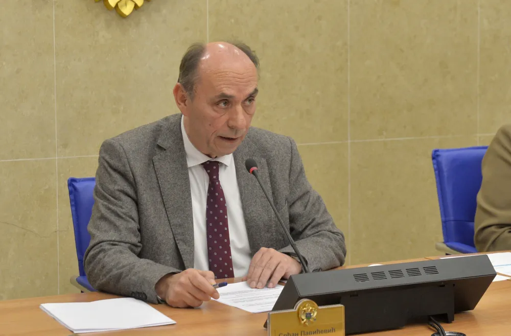 Odbor za zdravstvo, rad i socijalno staranje, odbor za zdravstvo, Srdjan Pavicevic