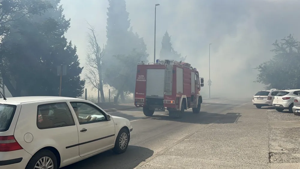 Ulica Vaka Đurovića: Vatrogasci na terenu zbog požara