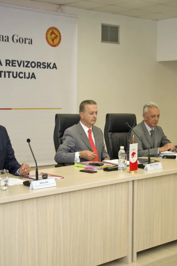 godisnji izvjestaj drzavne revizorske institucije