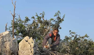 Lijepe vijesti iz NP Skadarsko jezera: 40 mladih pelikana napustilo gnijezda