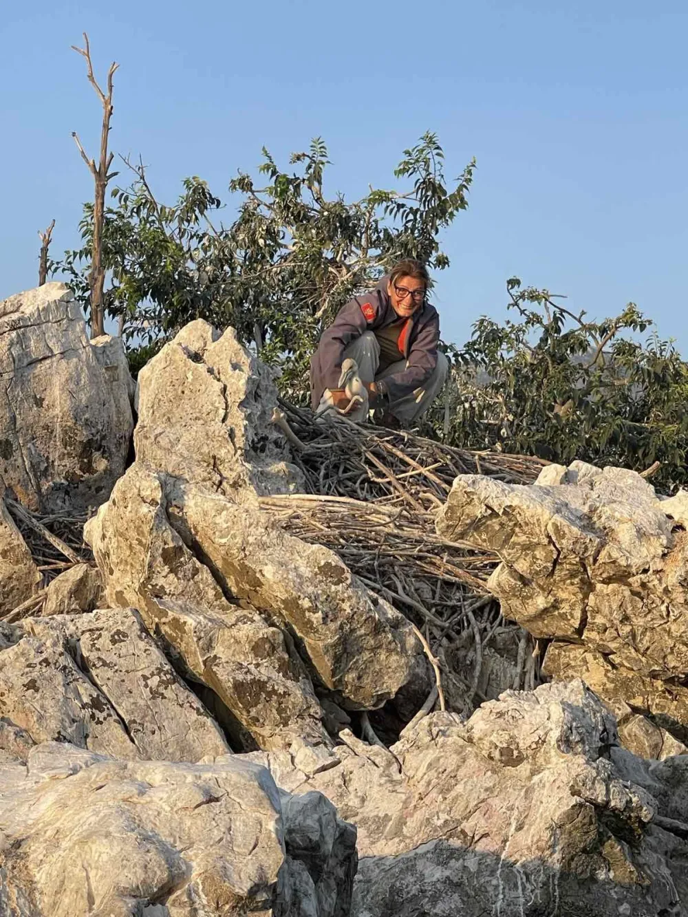 Lijepe vijesti iz NP Skadarsko jezera: 40 mladih pelikana napustilo gnijezda