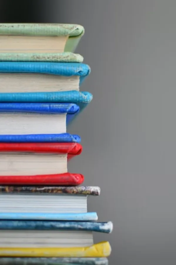 Od 7. avgusta isporuka besplatnih udžbenika &scaron;kolama