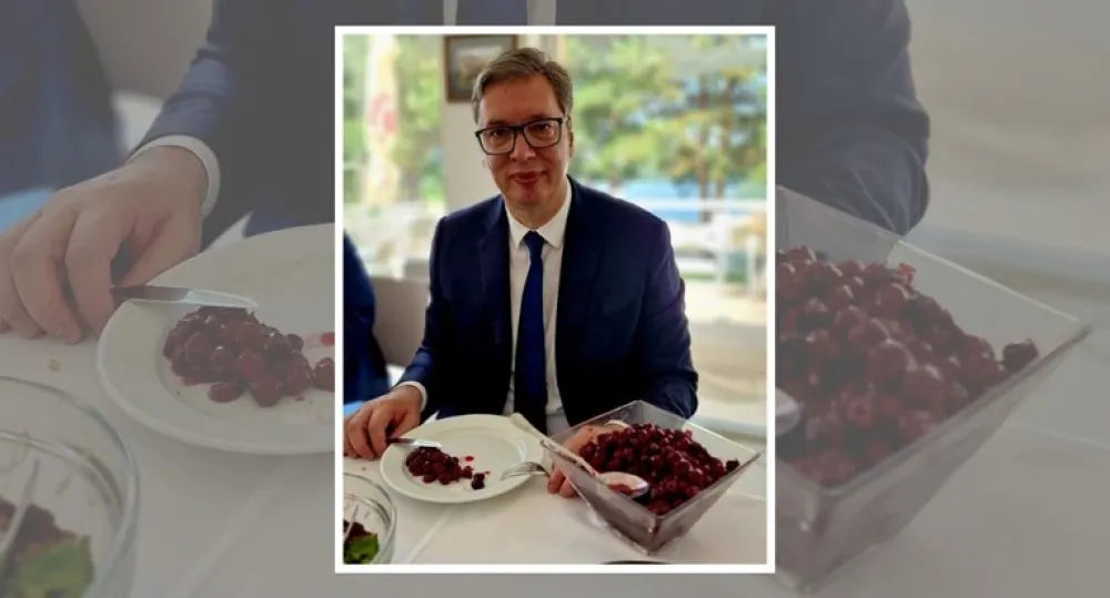 aleksandar vučić