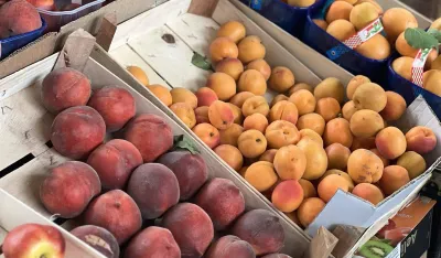 Na zelenoј piјaci u Ginta&scaron;u: Kilogram јabuke dva, breskve tri eura