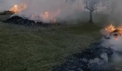 Паљење сијена