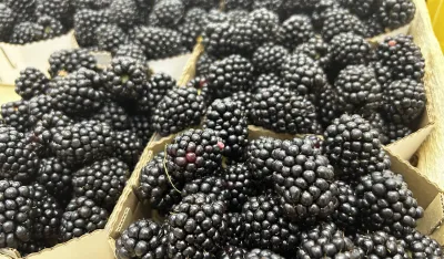 Za 600 grama kupina, kilogram tre&scaron;anja