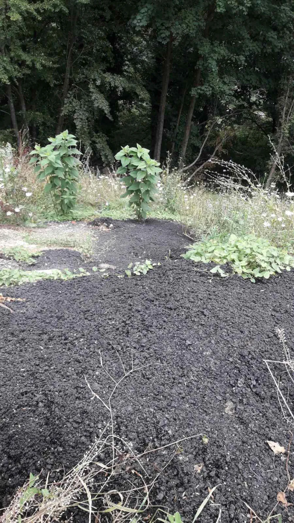 (VIDEO) Bijelo Polje: Putevi puni rupa, a asfalt zavr&scaron;io u Limu