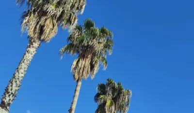 Sjutra pretežno sunčano, do 31 stepen