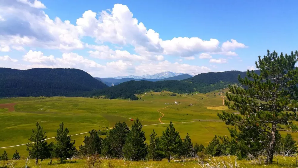 Битинско Поље