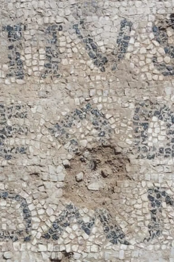 Arheolo&scaron;ko nalazi&scaron;te, Gračanica